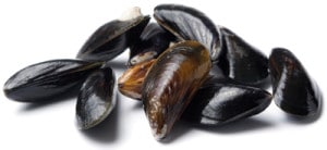 moules