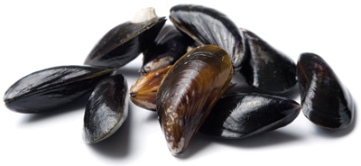 moules