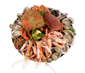 composition plateau fruits de mer