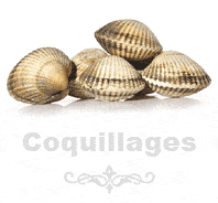 cuisson coquillages recette