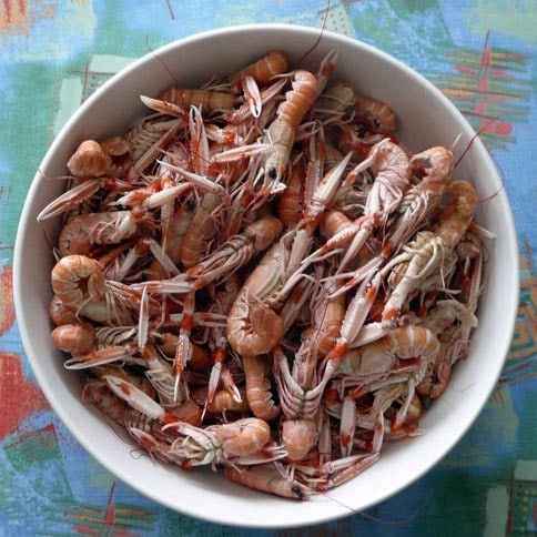 comment cuire des langoustines vivantes