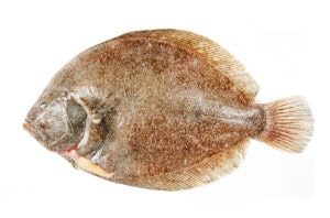 barbue cuisson recette poisson Scophthalmus rhombus brill Glattburt remol fish