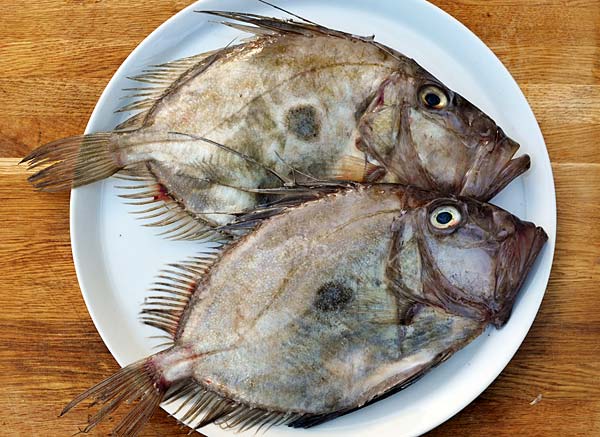 saint pierre poisson recette sauteuse poele