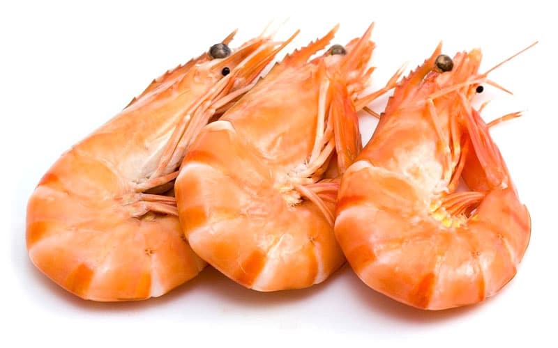 Crevettes roses 20/30 - 500 g