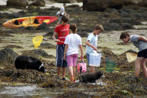pêche à pied conseils règles enfants