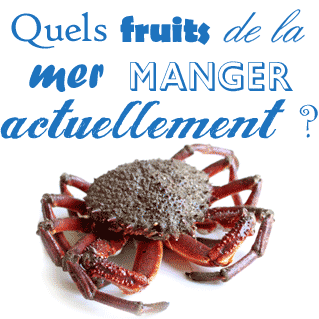 quels fruits de mer poisson manger en ce moment période saison