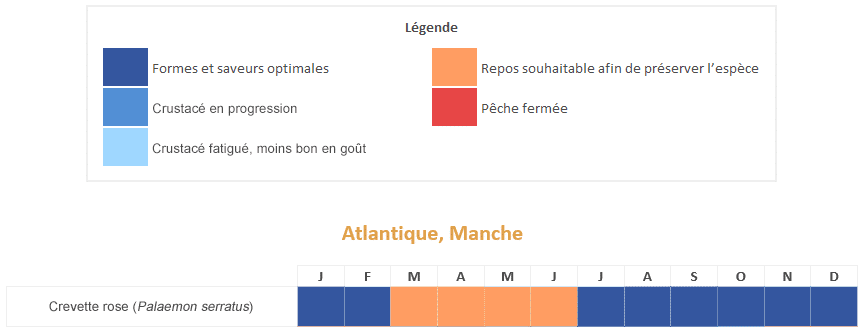 crevette rose calendrier saisonnalités période