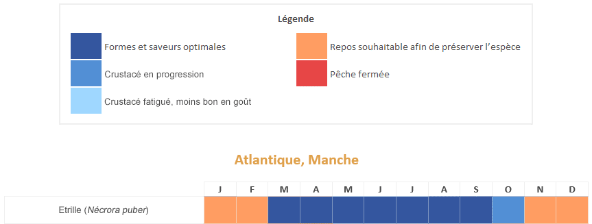 étrille calendrier saisonnalités période