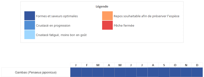 gambas crevette royale impériale rose calendrier saisonnalités période