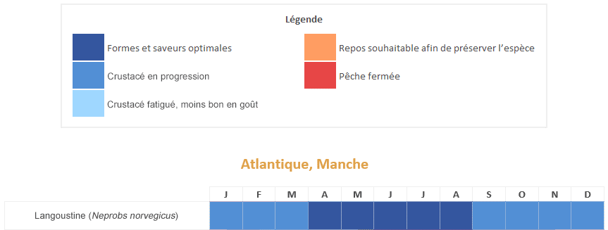 langoustine calendrier saisonnalités période