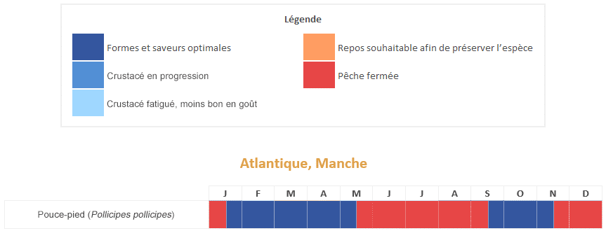 pouce pied pousse calendrier saisonnalités période