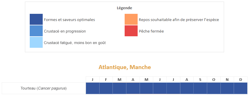 tourteau crabe calendrier saisonnalités période