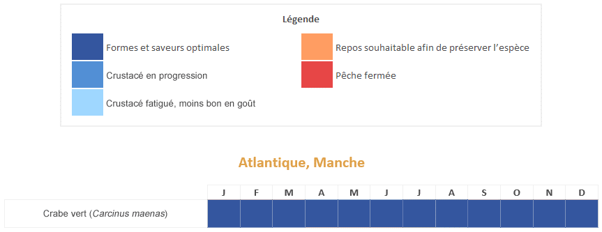 crabe vert enragé calendrier saisonnalités période