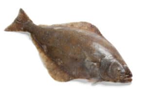 fletan poisson recette cuisine cuisson